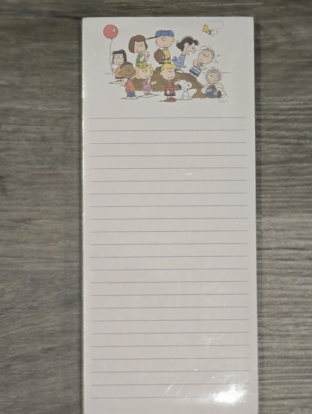 Graphique Peanuts & Gang Magnetic Note Pad